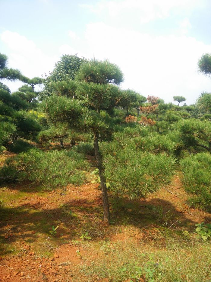 img20151008115620.jpg