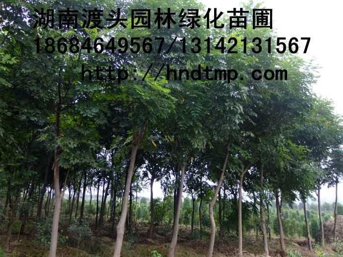方特 122.jpg