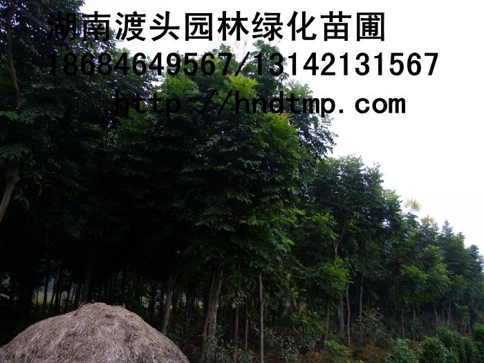 方特 125.jpg
