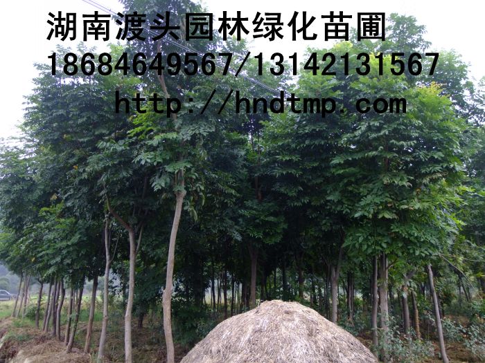 方特 126.jpg