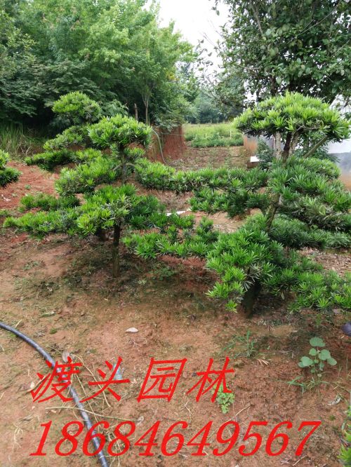 img_20160520_143535.jpg