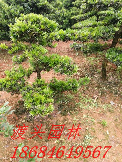 img_20160520_143531.jpg