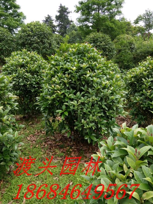 img_20160521_135558.jpg