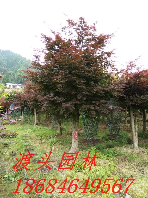 img_20160522_092508.jpg