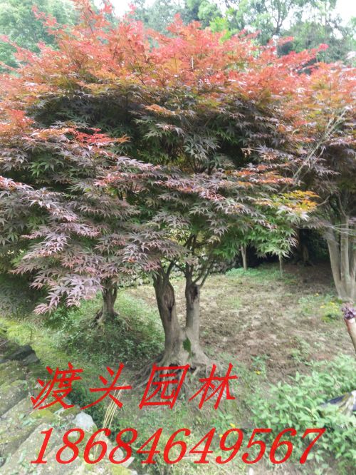 img_20160522_093804.jpg