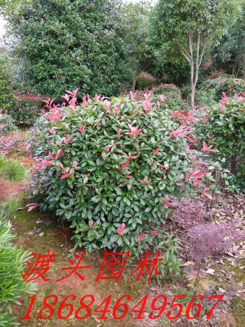 img_20160530_160429.jpg