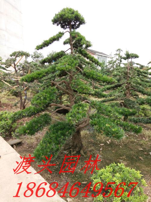 img_20160612_101824.jpg