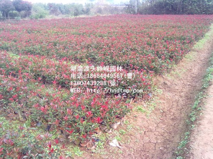 20111020235.jpg