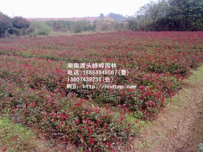 20111020236.jpg