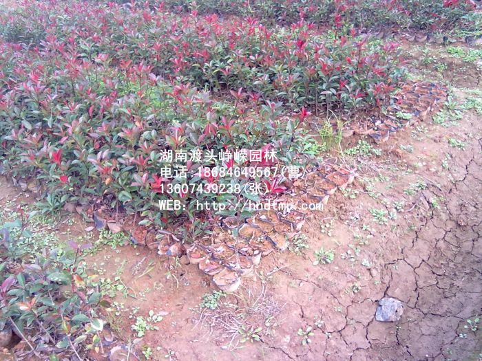 20111020238.jpg