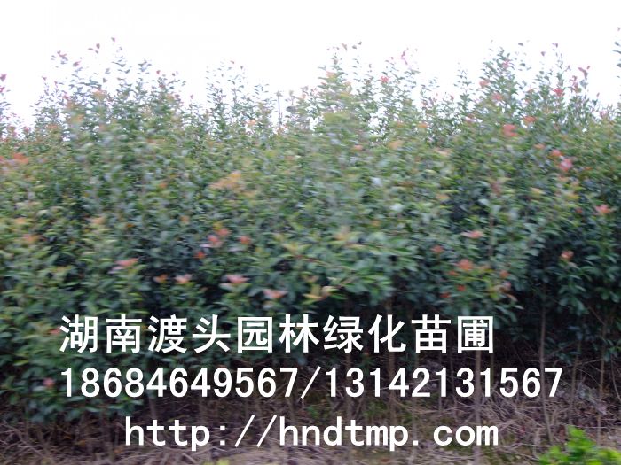 方特 166.jpg