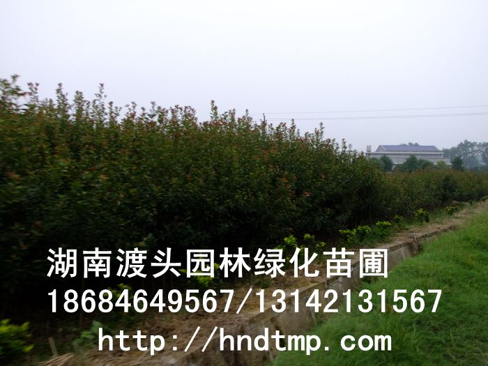 方特 164.jpg