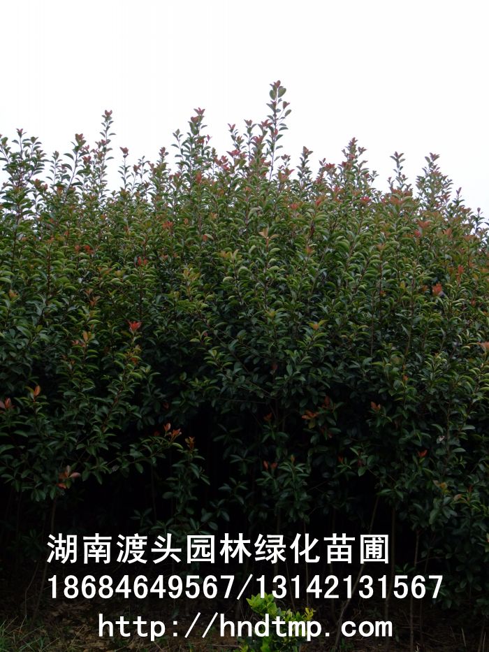 方特 163.jpg
