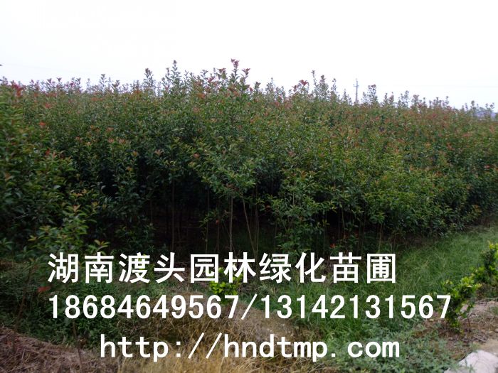 方特 165.jpg