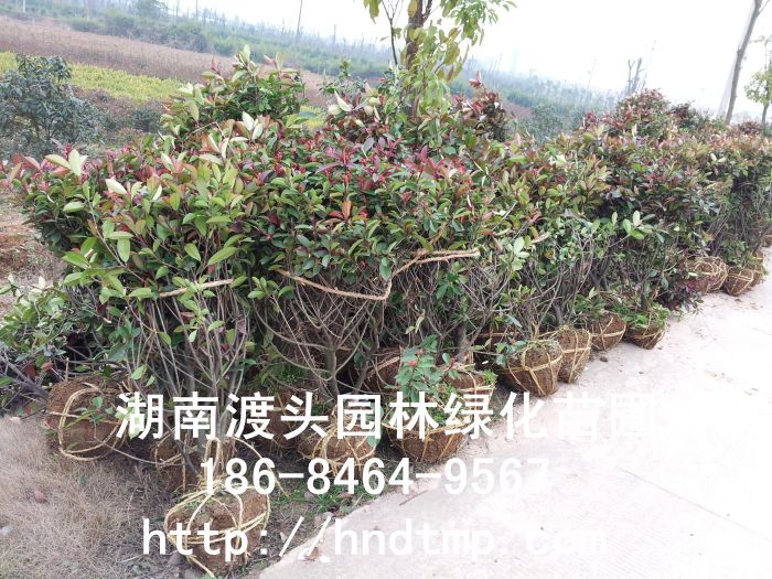 20130225_163159.jpg