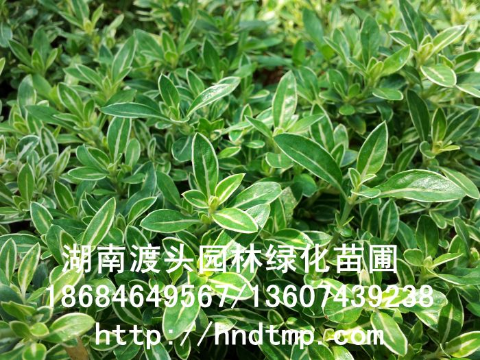 20130407_144331.jpg