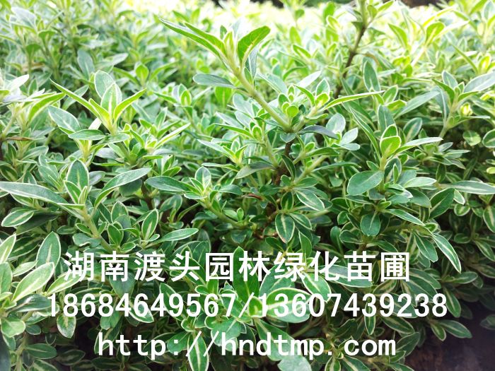 20130407_144324.jpg