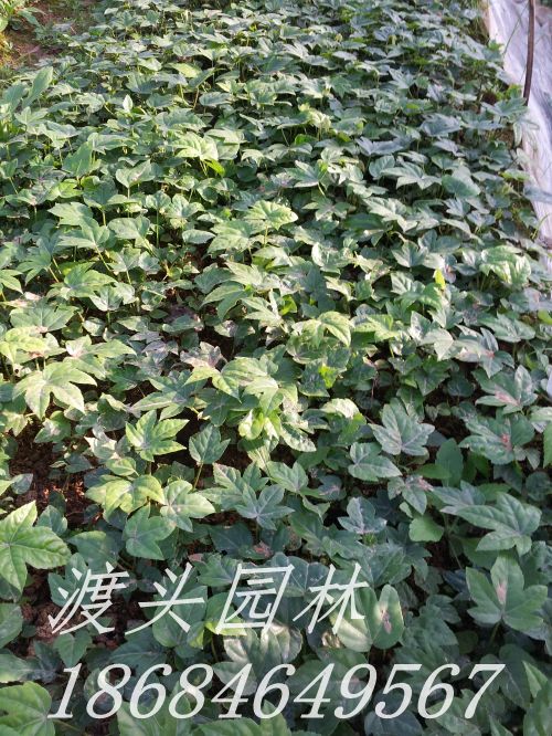 20130305_170052.jpg