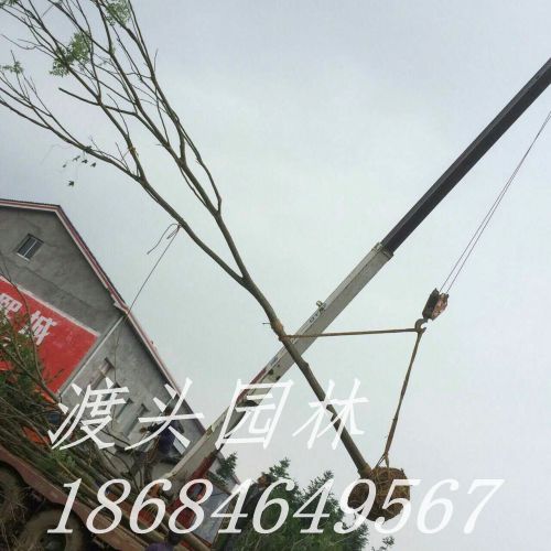 mmexport1473246932890.jpg