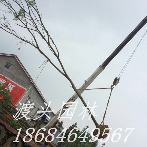 mmexport1473039164524.jpg