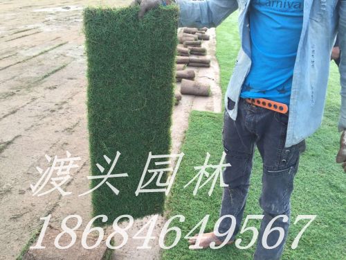 mmexport1474517447000.jpg
