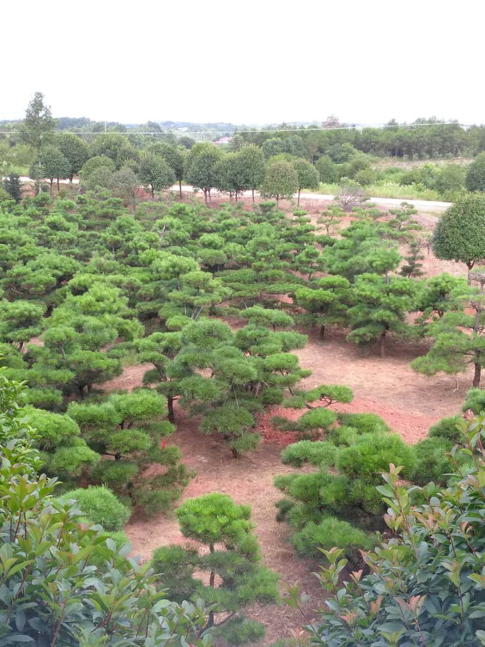 微信圖片_20170812124837.jpg