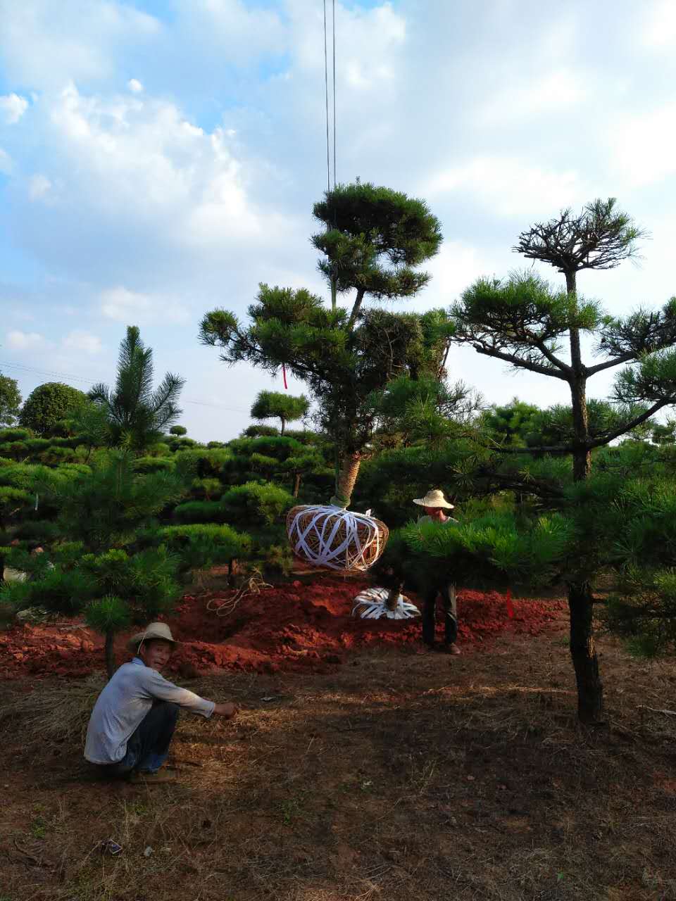 微信圖片_20170812124848.jpg