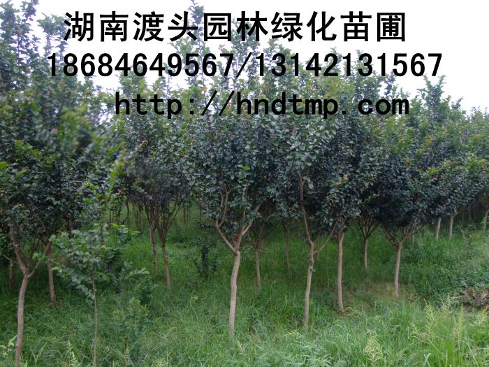 方特 170.jpg