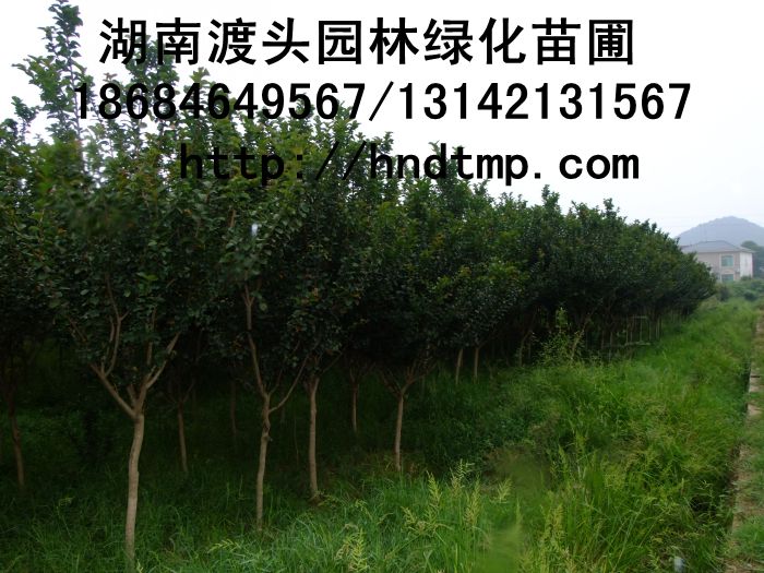 方特 171.jpg