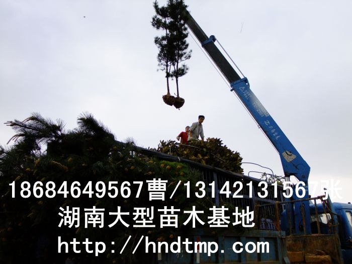 廣玉��?(5).jpg