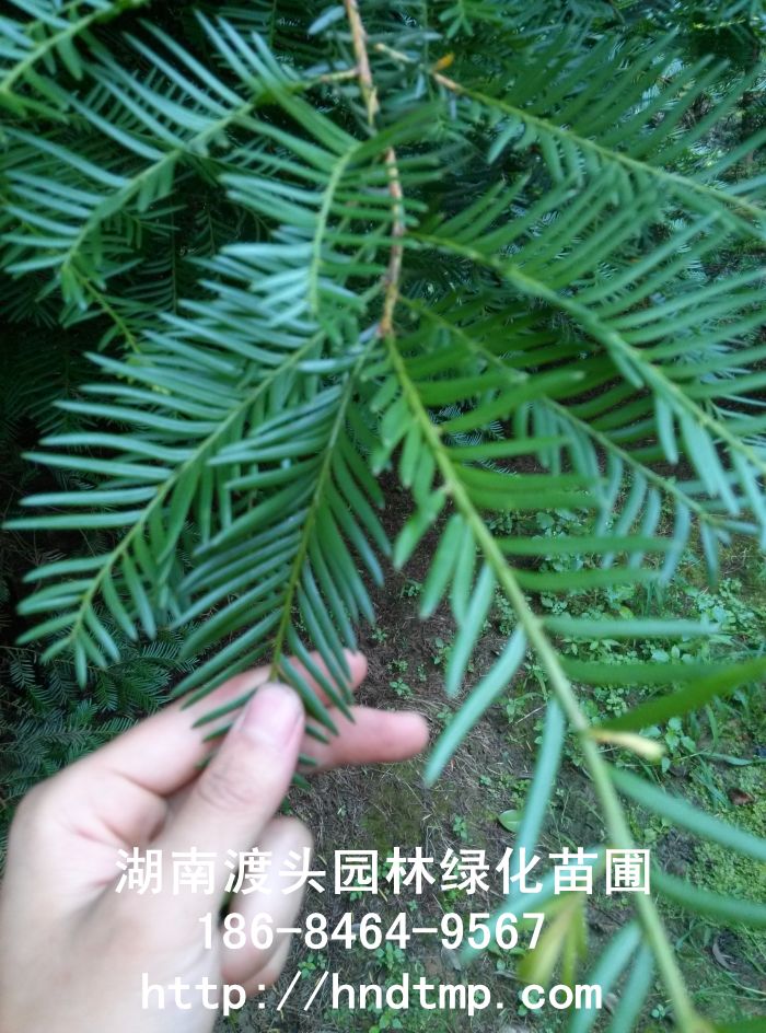 img_20140606_104221.jpg