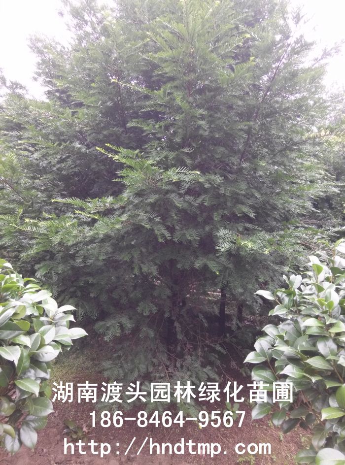 img_20140606_104215.jpg