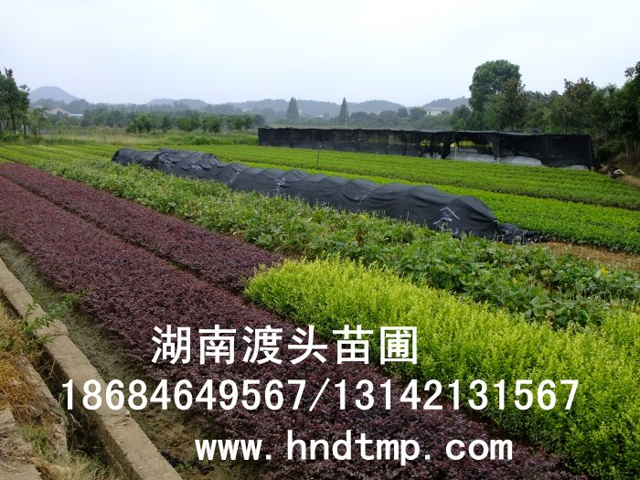 照片 072.jpg