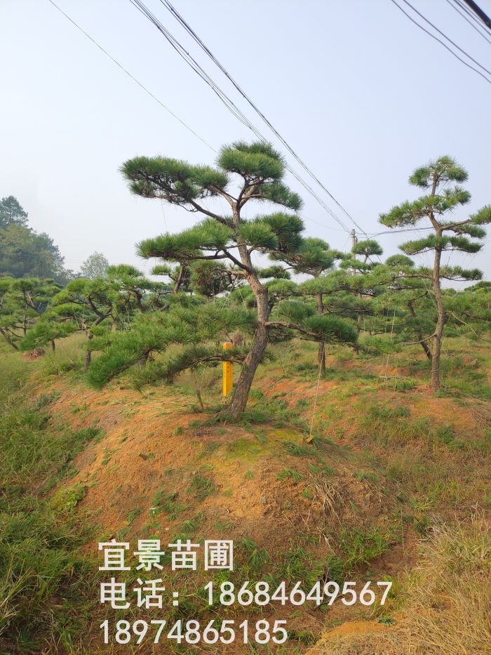 img_20181105_093809r.jpg