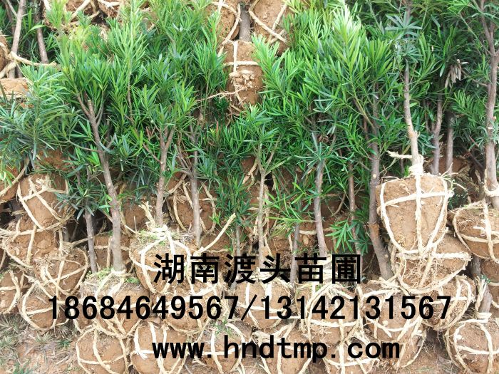 20130315_133608.jpg