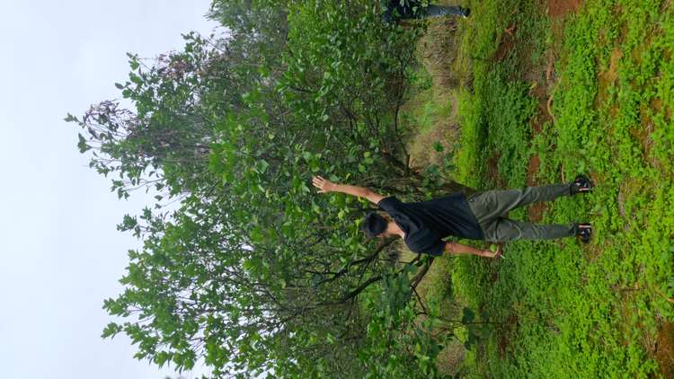 IMG_20190626_112946R.jpg