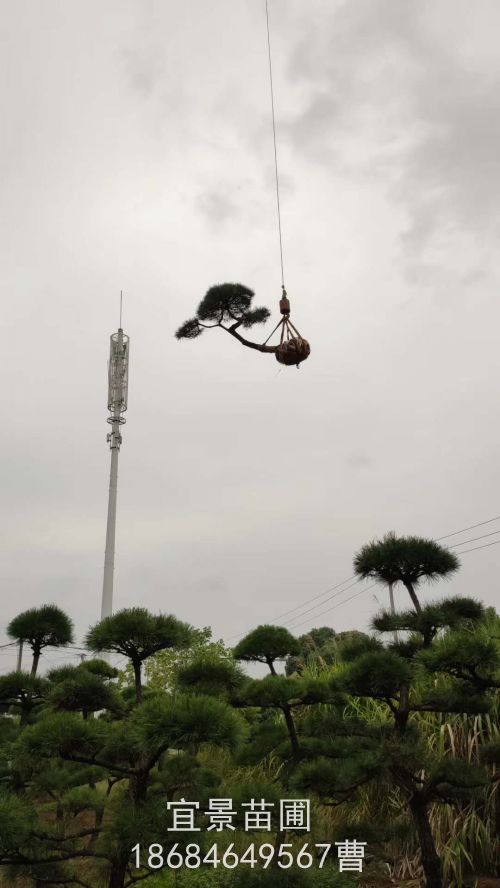 微信圖片_20201105105053.jpg