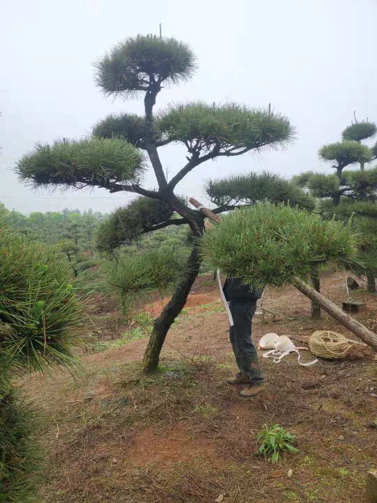 微信圖片_20210505214020.jpg