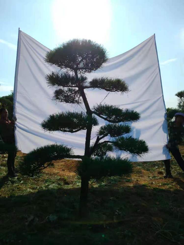 微信圖片_20210429211407.jpg