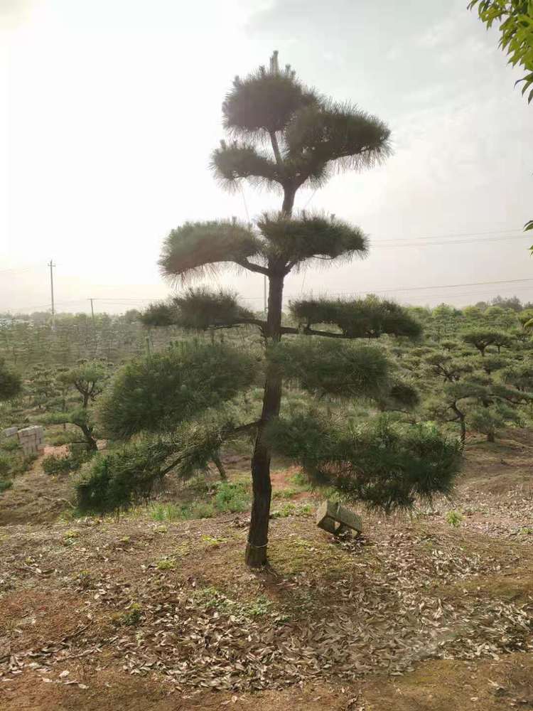 微信圖片_20210505214007.jpg